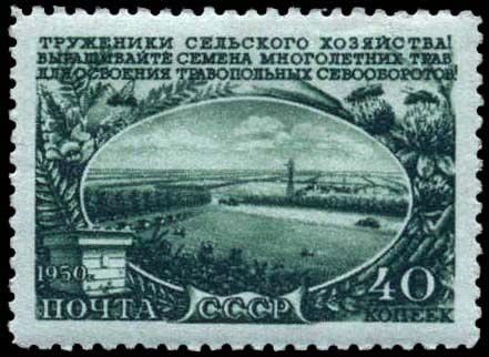 Заготовка кормовых культур