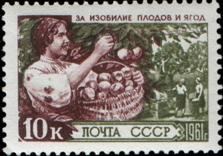 Сбор фруктов