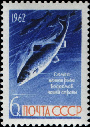 Семга