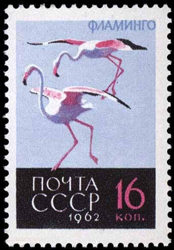 Фламинго