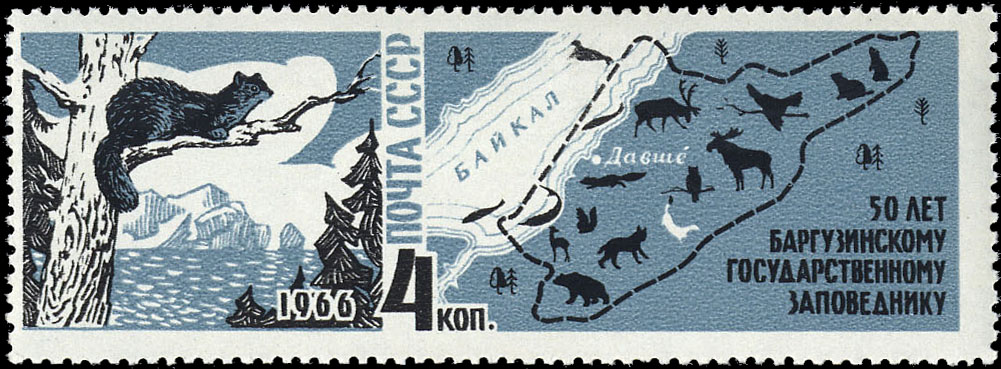 Фауна заповедника и очертания его границ. Баргузинский соболь