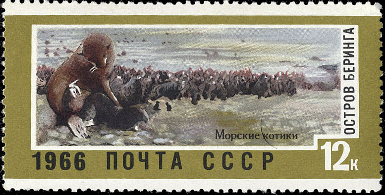 Остров Беринга. Морские котики