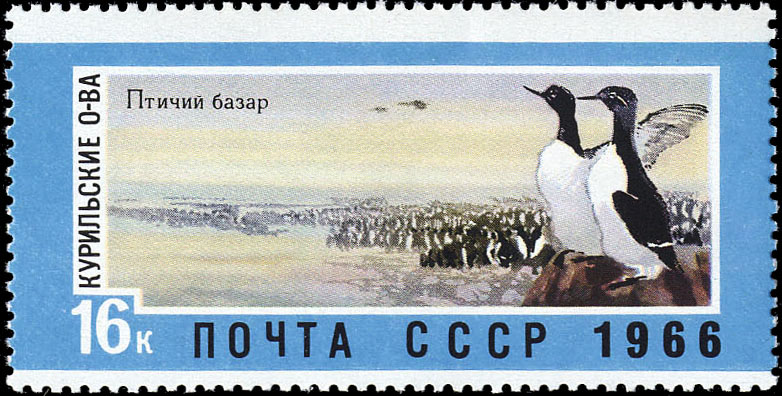 Курильские острова. Птичий базар