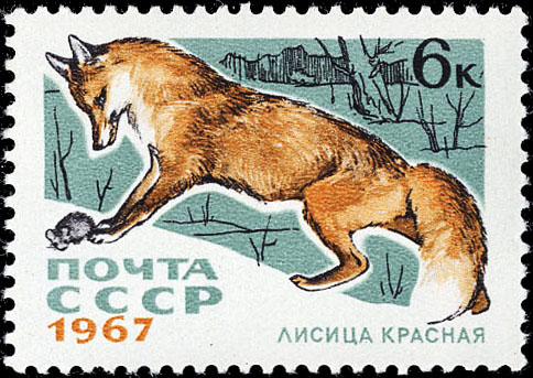Красная лиса