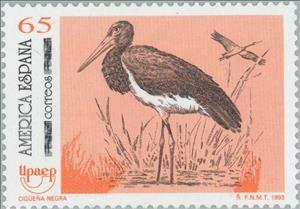 Stamp, Black Stork (Ciconia nigra), Spain,  , Birds, Storks, Animals (Fauna)