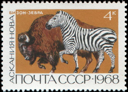 Заповедник Аскания-Нова. Бизон. Зебра