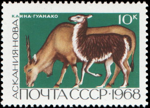 Заповедник Аскания-Нова. Канна и гуанако