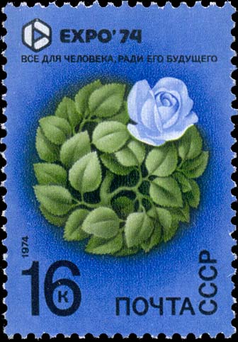 Флора. Стилизованные ветки и цветок розы
