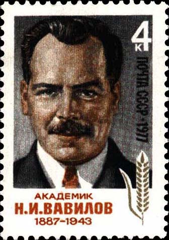 Портрет Н. И. Вавилова