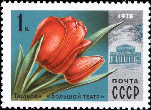 "Тюльпан "Большой театр", выведенный голландскими цветоводами и преподнесенный ими в дар Москве"