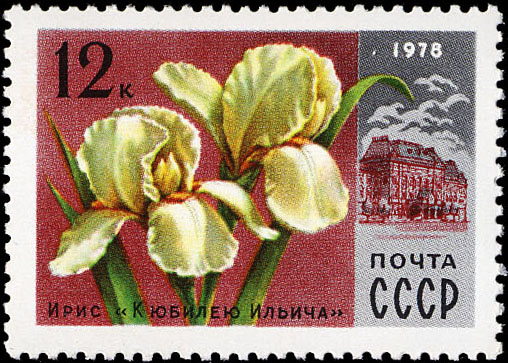 Ирис "К юбилею Ильича"
