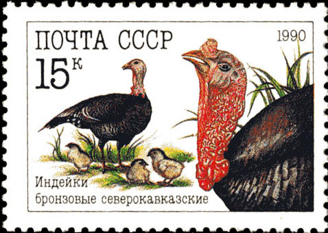 Индейки бронзовые северокавказские
