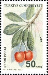 Official Postage Stamps