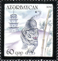 Year of the Tiger
