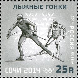 XXII Olympic Winter Games 2014 in Sochi - Winter Olympic Sports - Ski Race