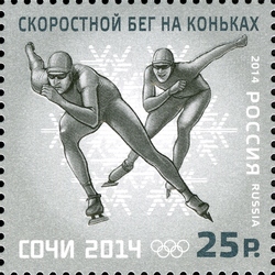 XXII Olympic Winter Games 2014 in Sochi - Winter Olympic Sports - Speed Skating