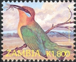 Birds of Zambia - new values - Merops  boehmi