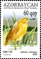 Stamp, Azerbaijan - Kazakhstan Joint issue - Ecology of the Caspian Sea - Yellow Heron, Azerbaijan,  