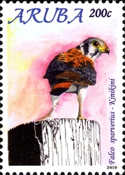 Stamp, Birds of Aruba 2010 - Falco sparverius, Aruba,  
