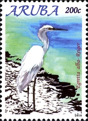 Birds of Aruba 2010 - Egretta alba
