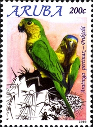Stamp, Birds of Aruba 2010 - Aratinga pertinax, Aruba,  