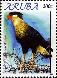 Stamp, Birds of Aruba 2010 - Polyborus plancus, Aruba,  