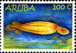 Stamp, Caribbean Reef Octopus, Aruba,  