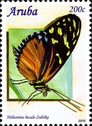 Caribbean Butterflies 2010 - Heliconius hecale