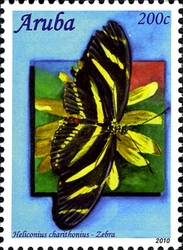 Caribbean Butterflies 2010 - Heliconius charithonius