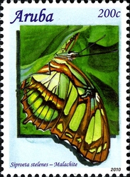 Stamp, Caribbean Butterflies 2010 - Siproeta stelenes, Aruba,  