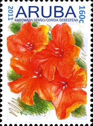 Stamp, Flowers - Cordia sebestena, Aruba,  