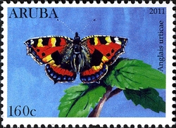 Butterflies - Anglais urticae