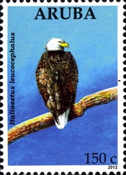 Stamp, Eagles - Haliaeetus leucocephalus, Aruba,  