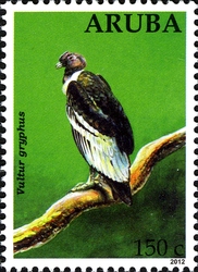 Eagles - Vultur gryphus