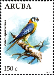 Eagles - Falco sparverius