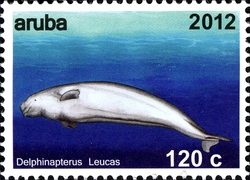 Stamp, Whales - Delphinapterus leucas, Aruba,  