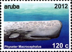 Stamp, Whales - Physeter macrocephalus, Aruba,  