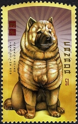 Year of the Dog