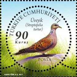 World Environment Day - Streptopelia turtur