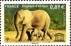 UNESCO - African Elephant