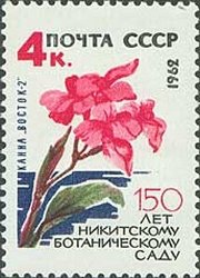 "Vostok-2" canna