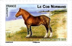 Plough horses - Le Cob Normand