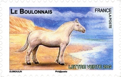Plough horses - Le Boulonnais