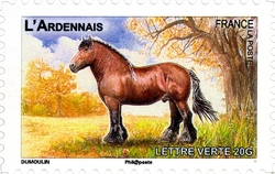 Plough horses - L'Ardennais