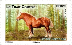Plough horses - Le Trait Comtois