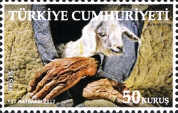 Agriculture and Humans in Turkey