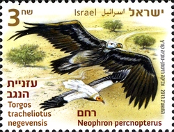 Stamp, Taking the Vultures under our Wing - Lappet-faced Vulture and Egyptian Vulture, Israel,  