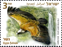 Stamp, Taking the Vultures under our Wing - Griffon Vulture, Israel,  