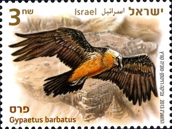 Stamp, Taking the Vultures under our Wing - Bearded Vulture, Israel,  
