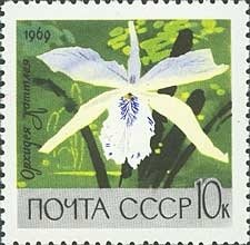 Stamp, Orchid (Cattleya hybr), Soviet Union, USSR,  , Flowers, Orchids, Plants (Flora)